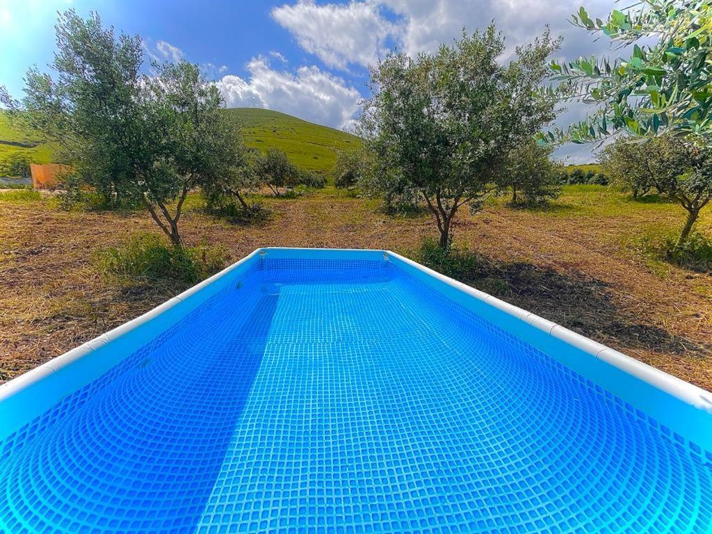 מלון יבניאל Dome in the Olive Grove כיפה גיאודזית ענקית ומודרנית בין עצי הזית מראה חיצוני תמונה